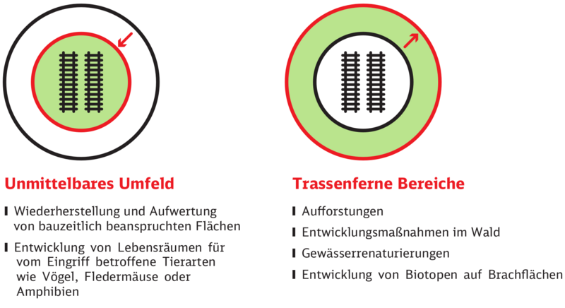 Grafik 1 beschreibt Lebensräume die für Tiere geschaffen werden, die direkt an der Schiene leben wie Vögel, Fledermäuse oder Amphibien.Grafik 2 beschreibt die Herstellung von größeren Flächen wie Afforstung, Entwicklung von Wald.